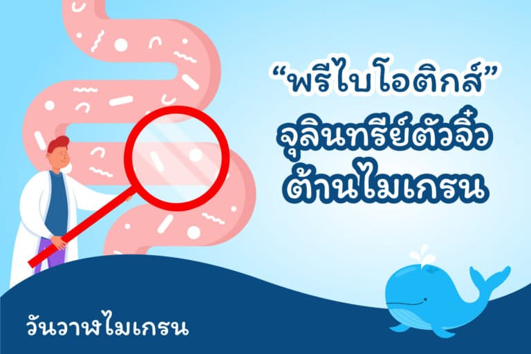“พรีไบโอติกส์” จุลินทรีย์ตัวจิ๋วต้านไมเกรน