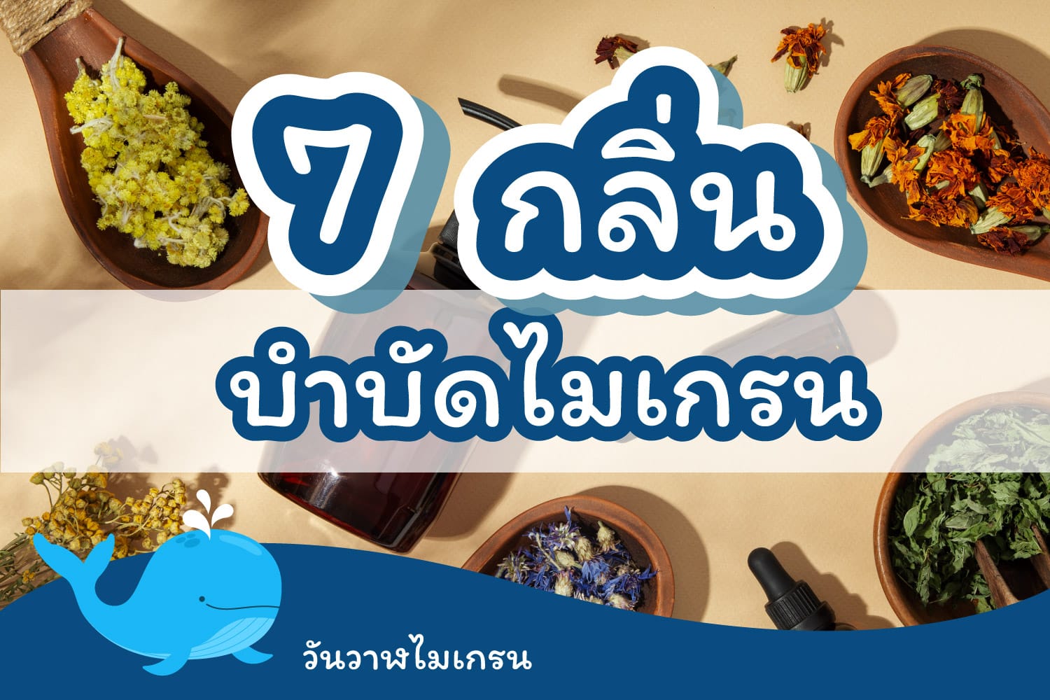 7 กลิ่นชวนสัมผัส บำบัดไมเกรน