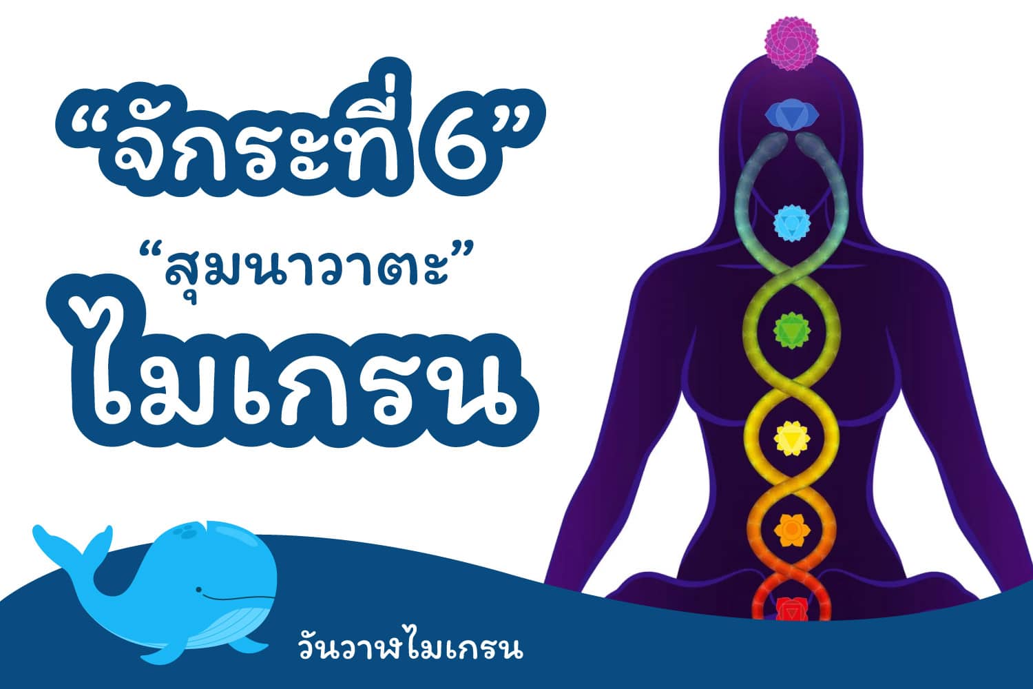 “สุมนาวาตะ” และ “จักระที่ 6” เกี่ยวอะไรกับไมเกรน