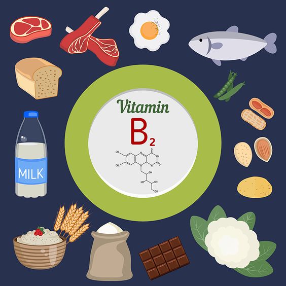 ไรโบฟลาวิน (Riboflavin)