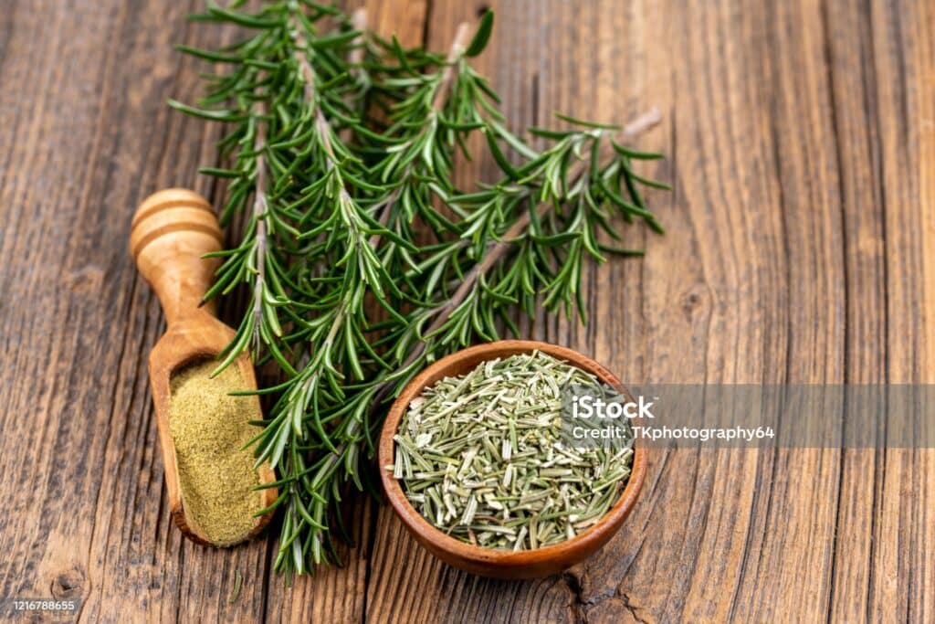บำบัดไมเกรน (โรสแมรี (Rosemary))