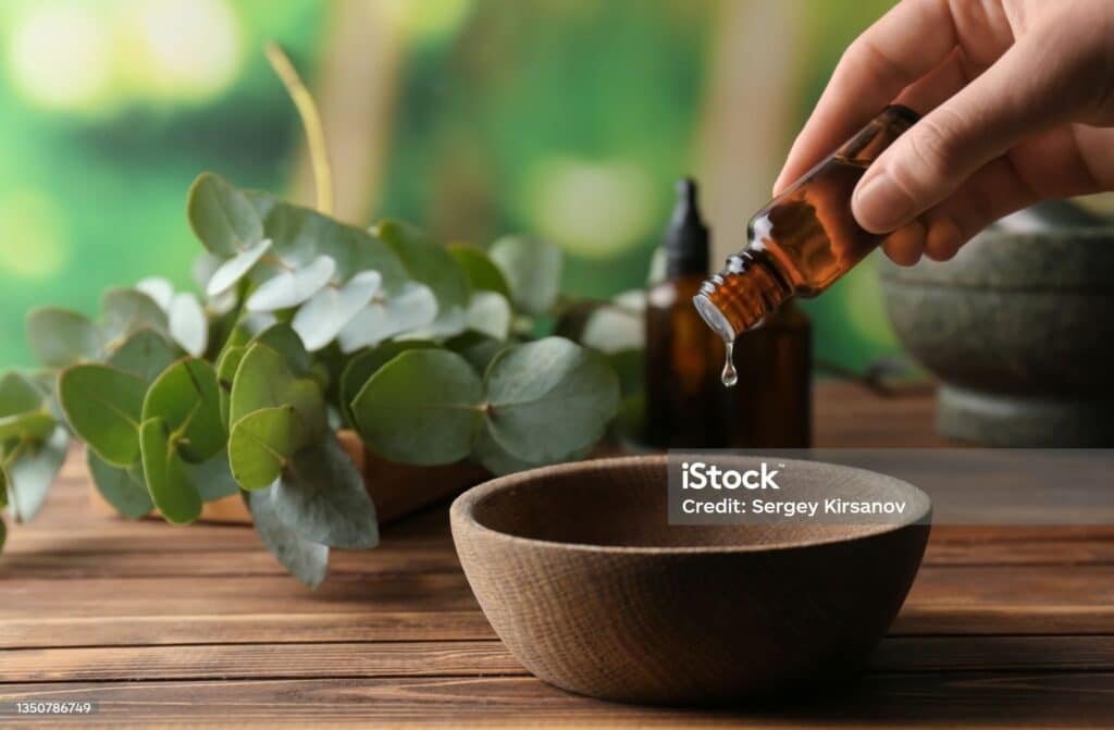 บำบัดไมเกรน (ยูคาลิปตัส (Eucalptus))