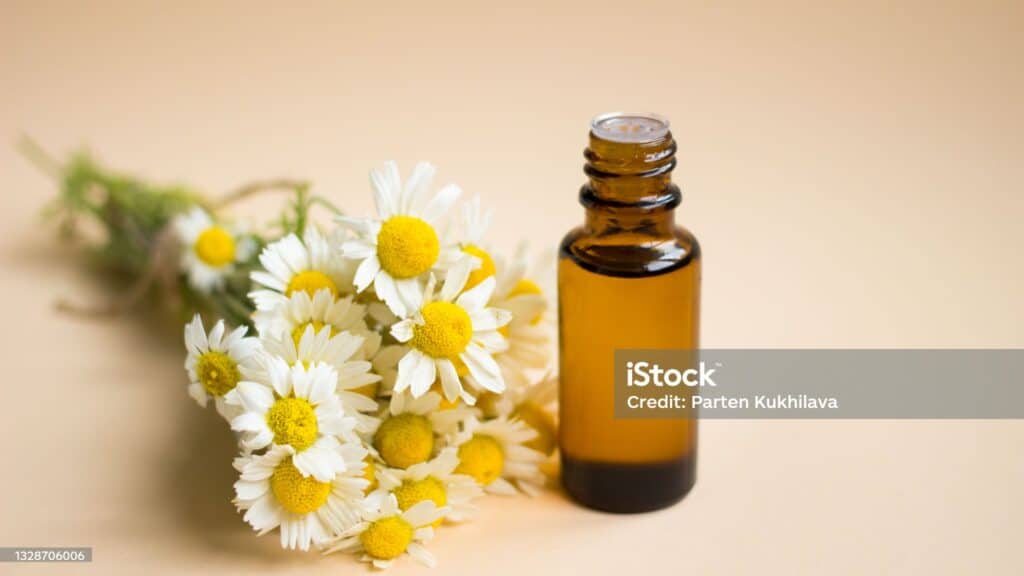 บำบัดไมเกรน (โรมัน คาโมมายล์ (Roman Chamomile))