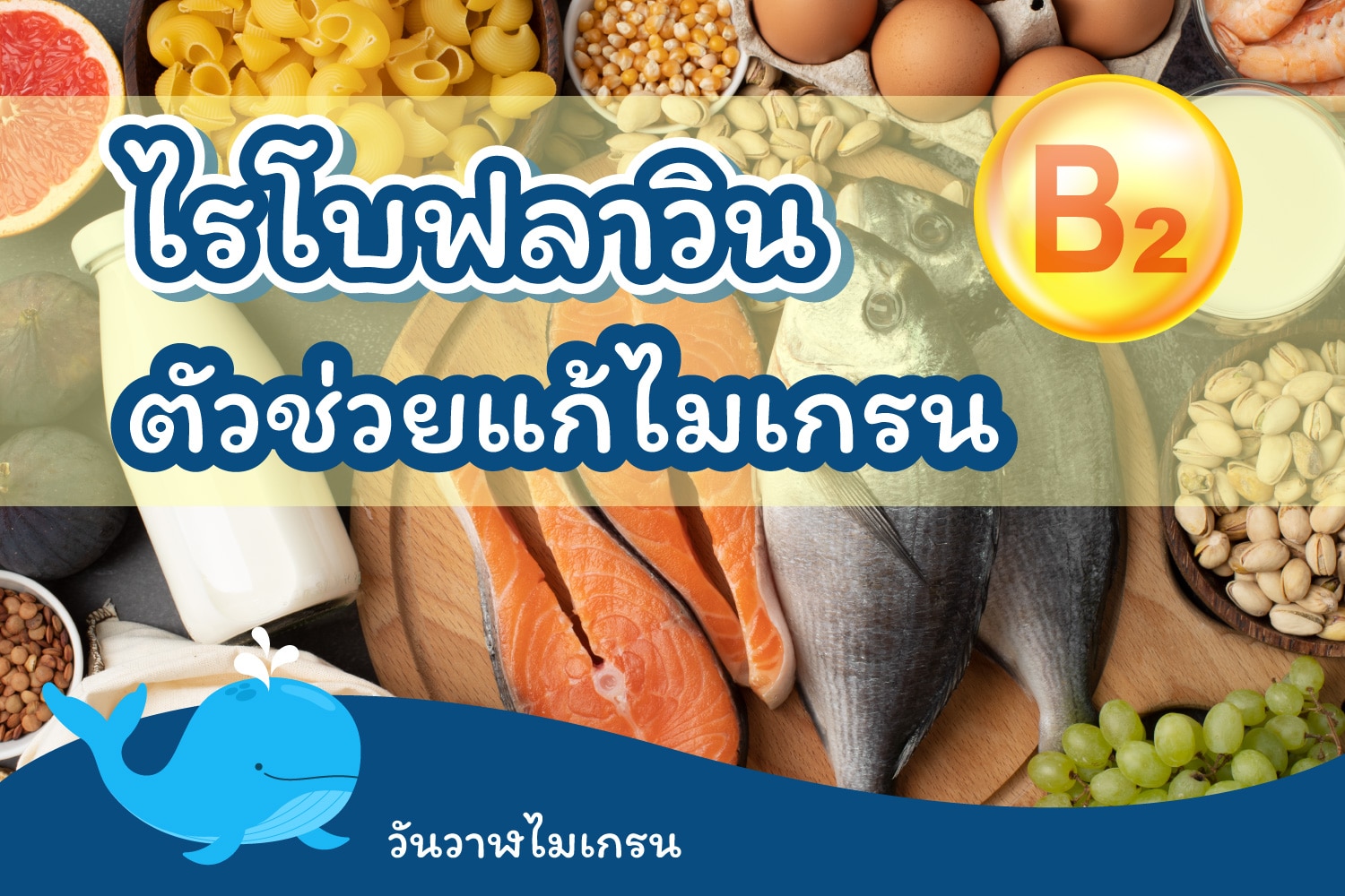 ไรโบฟลาวิน (Riboflavin) ตัวช่วยแก้ไมเกรน